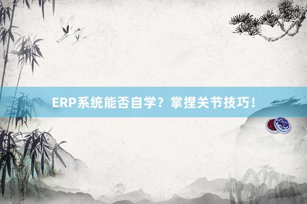 ERP系统能否自学？掌捏关节技巧！