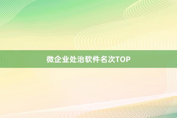 微企业处治软件名次TOP