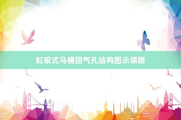 虹吸式马桶回气孔结构图示领路