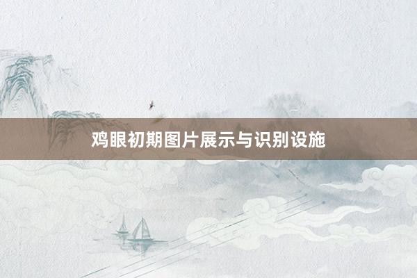 鸡眼初期图片展示与识别设施